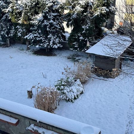 Ferienwohnung Dieblich An Der Mosel Bagian luar foto
