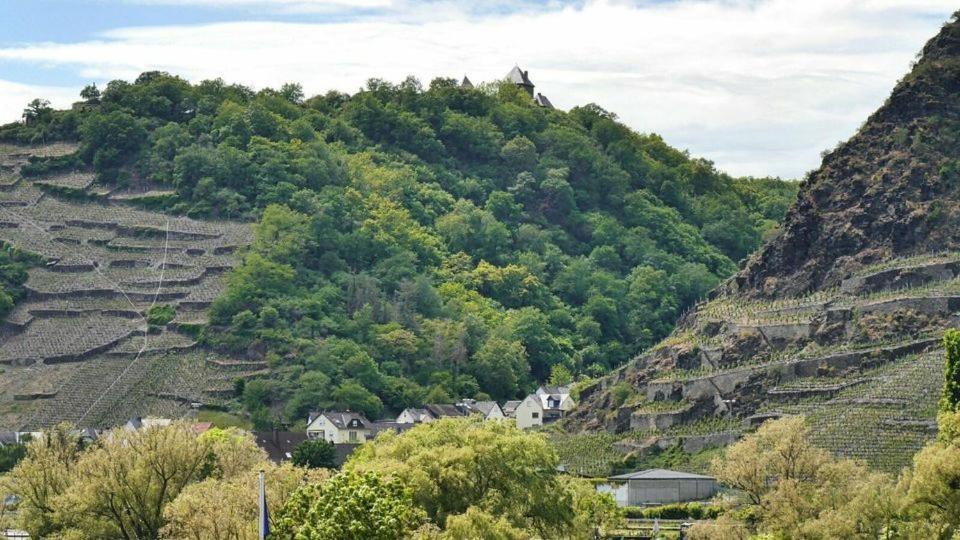 Ferienwohnung Dieblich An Der Mosel Bagian luar foto