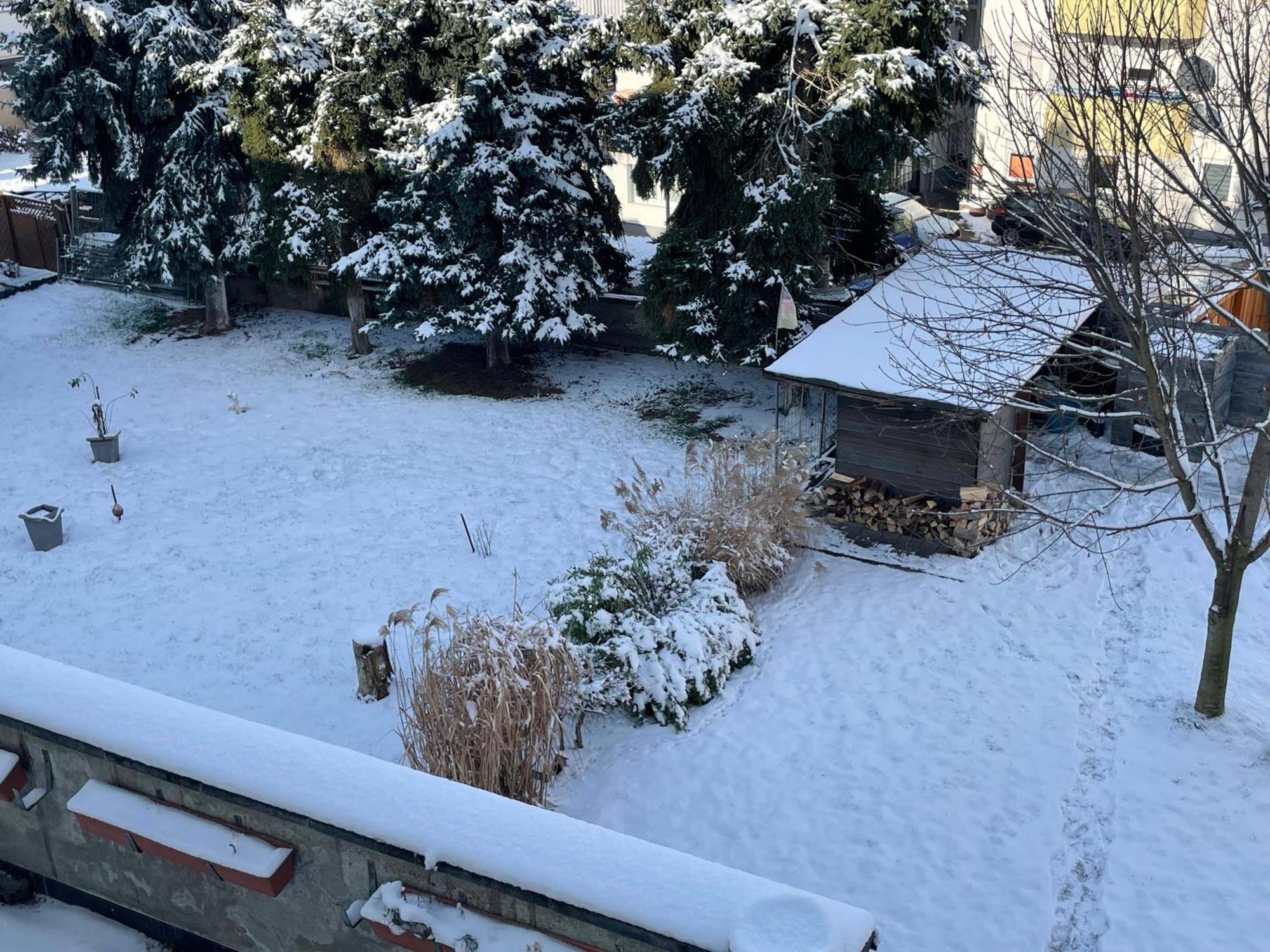 Ferienwohnung Dieblich An Der Mosel Bagian luar foto