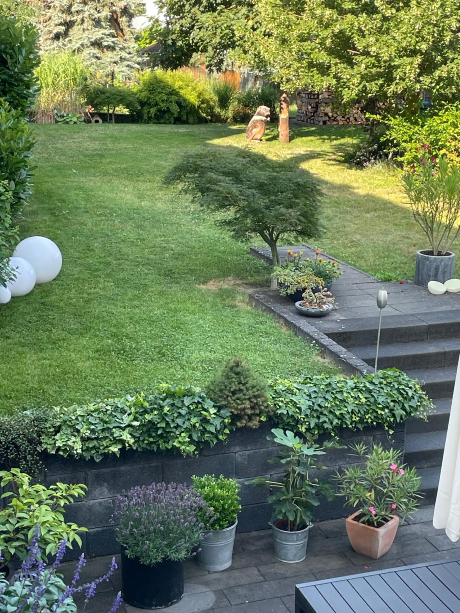 Ferienwohnung Dieblich An Der Mosel Bagian luar foto
